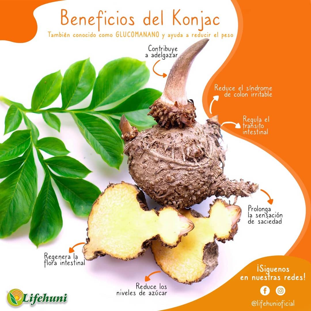 Beneficios Del Konjac Regula Peso