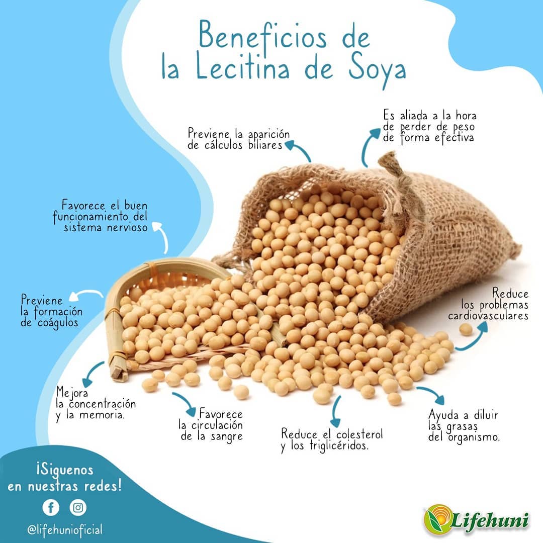 Las propiedades beneficiosas de la lecitina de soja