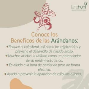 BENEFICIOS DE LOS ARANDANOS DIVIHER