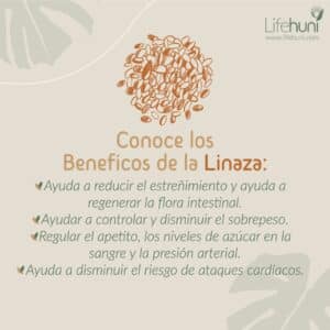 BENEFICIOS DE LA LINAZA DIVIHER